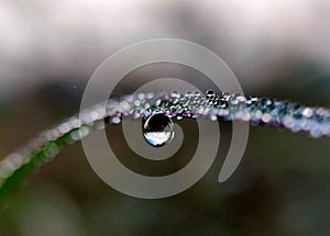 Darker Water Droplet