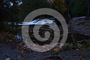 Into the darkness of swirling leaves after dusk