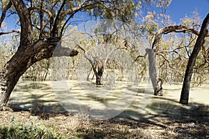 Darling River, Australia