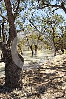 Darling River, Australia