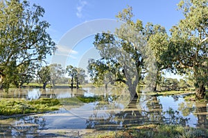 The Darling river. photo