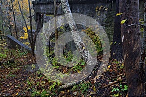 Darnley Grist Mill ruins in Ontario  Canada