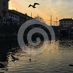 Darsena - Milan photo