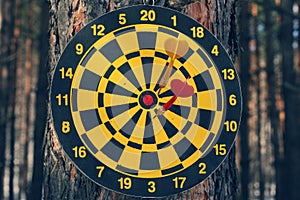 Dart board and darts on tree