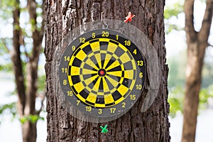 dart board game mistake