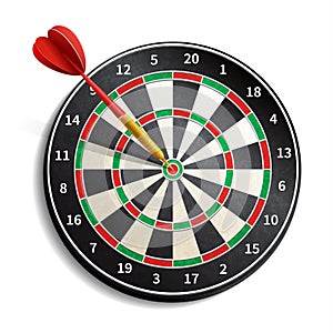 Dart Board Realistic