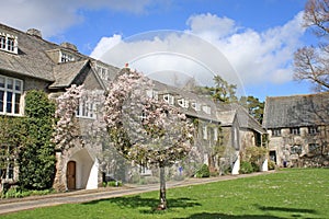 Dartington Hall, Devon