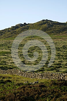Dartmoor Granite Tors