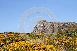 Dartmoor National Park