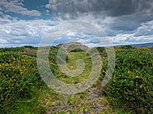 Dartmoor National Park  Buckland Beacon Devon