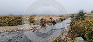 Dartmoor National Park , Caddover , Devon , uk