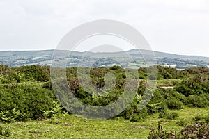 Dartmoor national park, Devon, UK