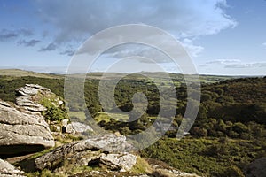 Dartmoor national park merrivale and vixen tor