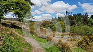 Dartmoor National Park. Near Postbridge Dartmoor