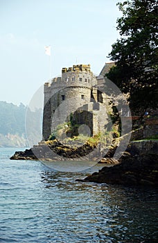 Dartmouth Castle