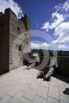 Dartmouth castle