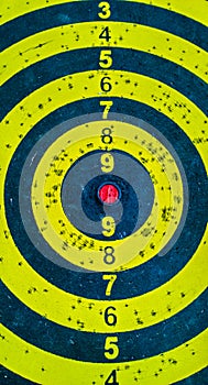 Darts target