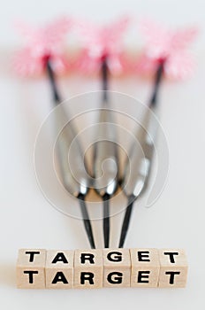 Darts Target