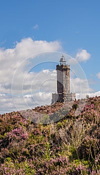Darwen tower