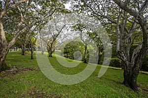 Darwin Bicentennial Park The Esplanade