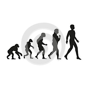 Darwin evolution of human. From monkey to modern people.