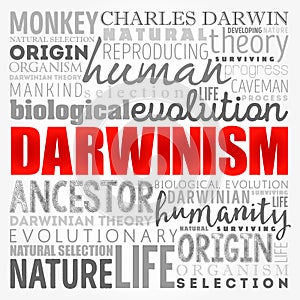 Darwinism word cloud collage, education concept background