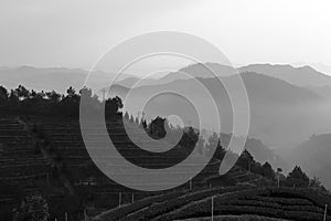 Dasan terraces morning black and white image