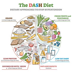 The DASH food diet as dietary approach to stop hypertension outline diagram