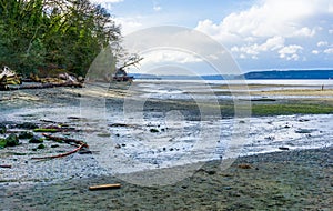 Dash Point Park Shoreline 3