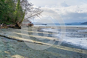 Dash Point Park Shoreline 9