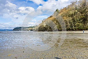 Dash Point Park Shoreline 7