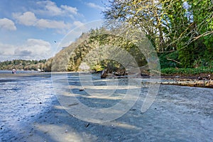 Dash Point Park Shoreline 13