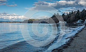 Dash Point Shoreline Landscape