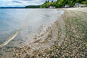 Dash Point Waterfront Homes 3