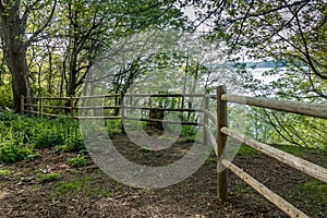 Dash Point Wooden Fence 2