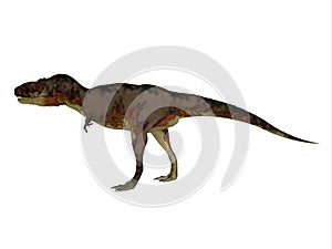 Daspletosaurus Theropod Dinosaur photo