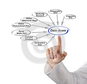 Data Assets