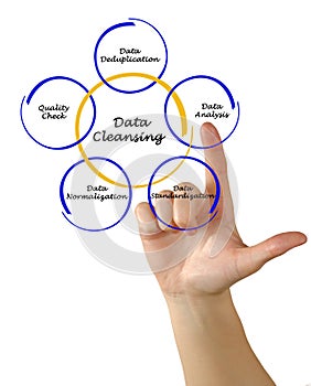 Data Cleansing