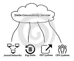 Data Connectivity Service