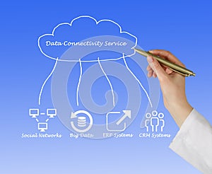 Data Connectivity Service