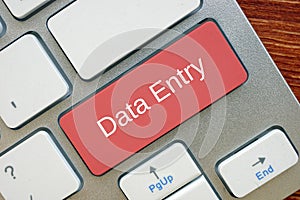 Data Entry  phrase on the sheet