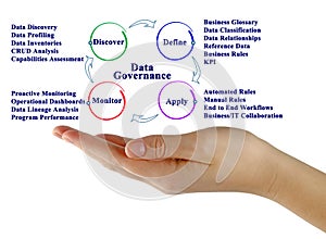 Data Governance Process