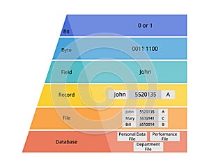 Data Hierarchy of bit, byte, field, record, file, database