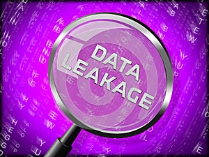 Data Leakage Information Flow Loss 3d Rendering