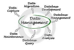 Data Management