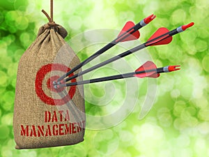 Data Management - Arrows Hit in Red Target.