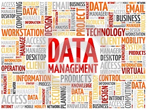 Data Management word cloud