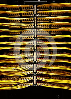 Data room network cables photo