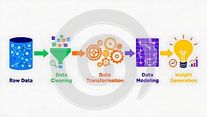 Data science process from raw data to insight generation