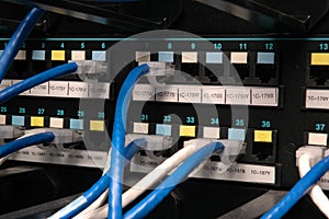 Data transmission cables in a patch bay